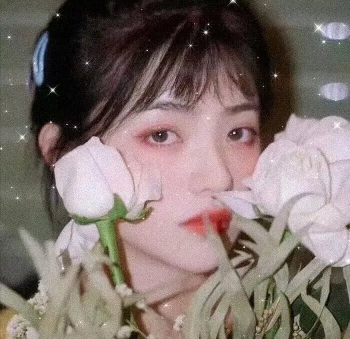 春色无边满人间